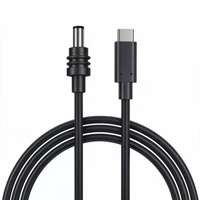 Câble d'alimentation Starlink Mini DC vers câble USB C